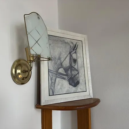 Pensiune Vladimir & Ana 4*