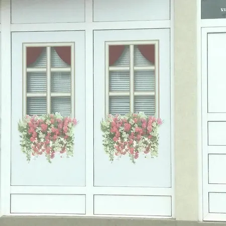 Vladimir & Ana Pensiune 4*