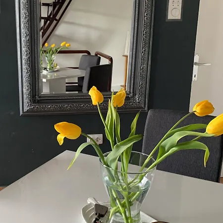 Vladimir & Ana Pensiune Pančevo